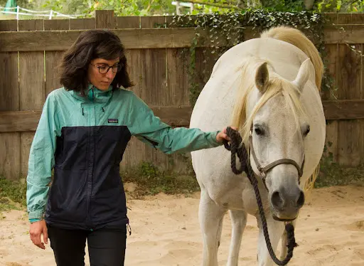 Equi Ecoute Médiation Equine