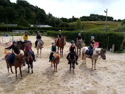 Zaï Dressage Écurie de Propriétaire