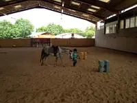 Haras du Meix