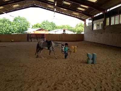 Haras du Meix