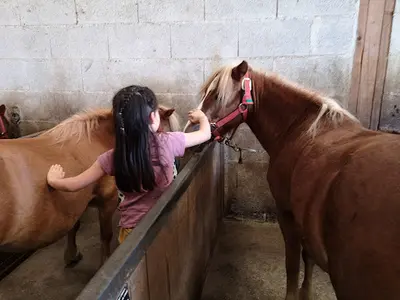 Centre Equestre la Rivière