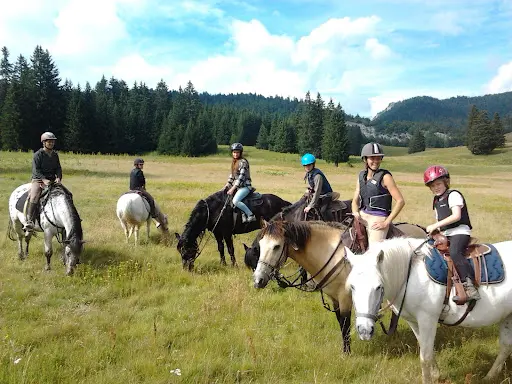 Cavaliers des Revoux