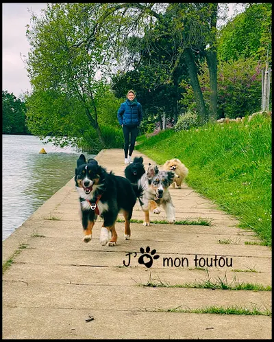 J’aime Mon Toutou - Éducateur Comportementaliste Canin