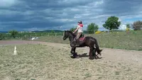 Ferme Equestre le Relais de Vazeille