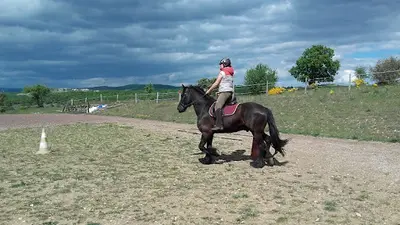 Ferme Equestre le Relais de Vazeille
