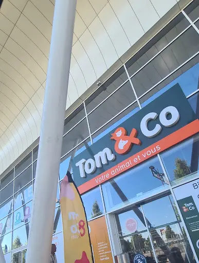 Tom&co Saint Maximin