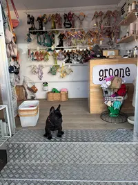 Grogne Store