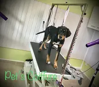 Pet’s Coiffure