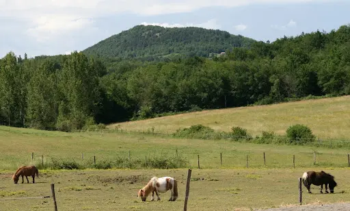 Les Balades du Conté