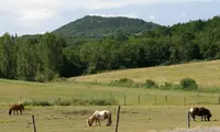 Les Balades du Conté