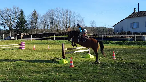 Écuries de Rêve : Pension et Élevage de Chevaux Dans la Creuse en Nouvelle Aquitaine