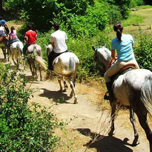 Earl Poney Club des Landes