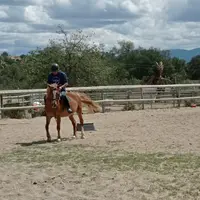 Centre Equestre Farella Perpignan Canet