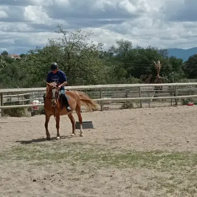 Centre Equestre Farella Perpignan Canet