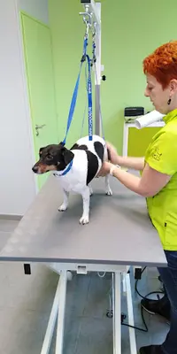 Au Bien-être Canin / St-nicolas-lez-arras