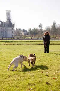 Anirelax Coach Animalier - Educateur Canin - Indre-et-loire et Loir-et-cher