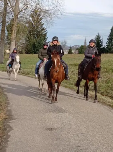 Haras de Cheval Evasion