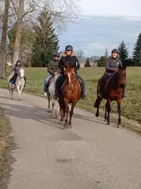 Haras de Cheval Evasion