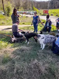 Educateur Canin Dim Educ