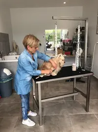 Pluto Joli