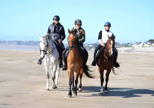 La Cavalerie d'Andrea