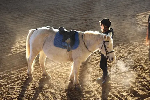 Centre Équestre Poney Club de Saint Palais