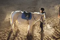 Centre Équestre Poney Club de Saint Palais