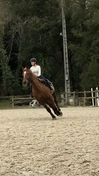 Centre Equestre de Royan