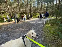 Joel Chevillard Educateur Comportementaliste Canin Certifié