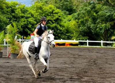 Club Hippique de l'Hermitage