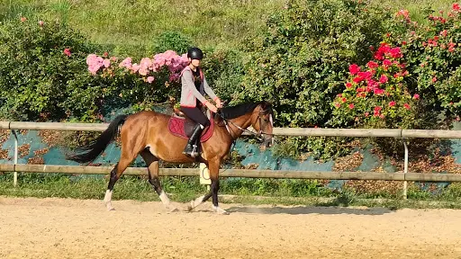 Les Écuries du Rosier