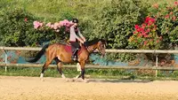 Les Écuries du Rosier