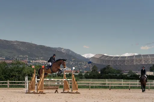Cheval Roy