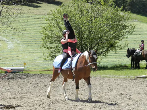 Ferme Équestre les Crins du Col