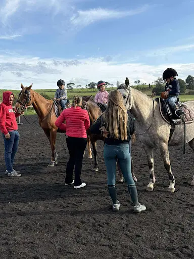 Les Chevaux des Sperios