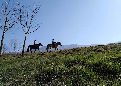 La Ferme du Poney Fringant
