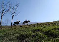La Ferme du Poney Fringant