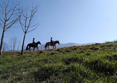 La Ferme du Poney Fringant