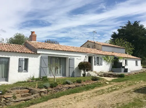 Eurasiers du Domaine des Terres de Jade