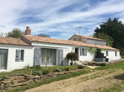 Eurasiers du Domaine des Terres de Jade