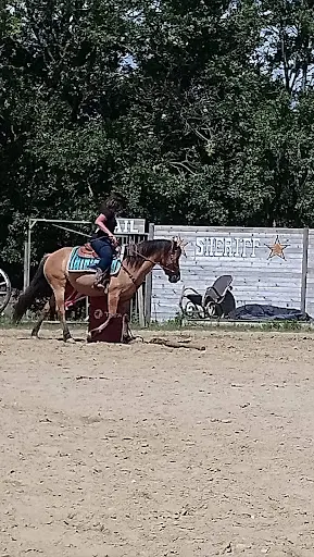Dreamland Ranch