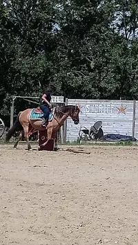 Dreamland Ranch