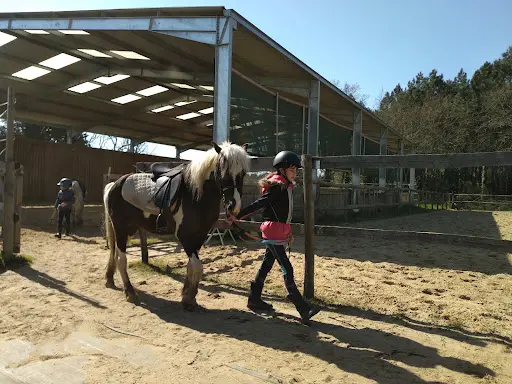 Le Landreau Equitation