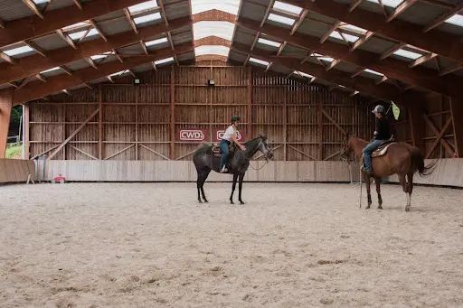 Feelyourhorse/julia Rihn Equitation@ Laherrie