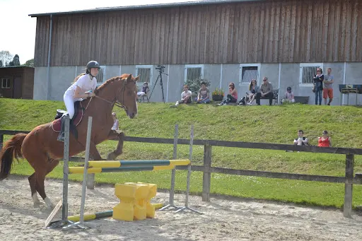 Haras du Manoir
