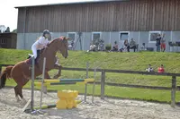 Haras du Manoir