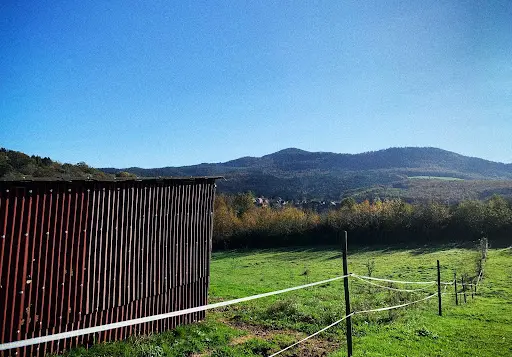 Ferme Equestre Peter