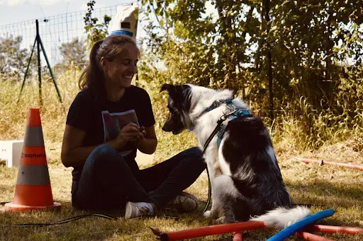 Canidéal - Educateur Canin et Comportementaliste