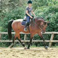 Centre Equestre le Paddock