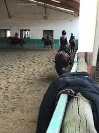 La Jumenterie